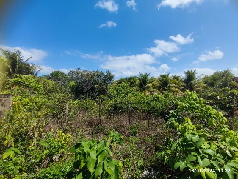 Terreno para Venda no bairro Praia de Itapary em São José de Ribamar