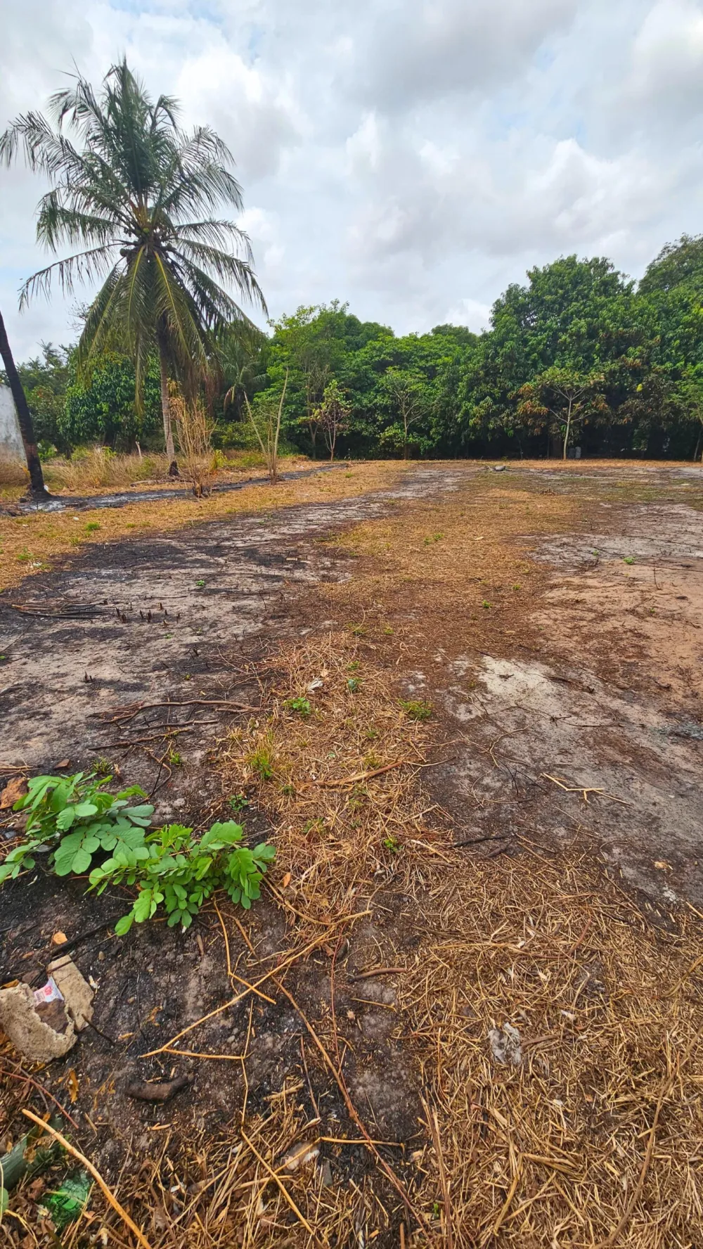 Terreno para Venda no bairro Vila Maioba do Janipapeiro em Paço do Lumiar